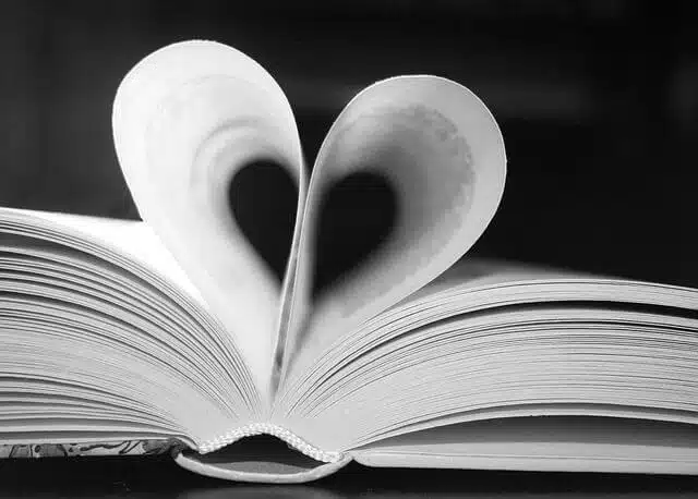 Libros sobre traducción para triunfar en Sant Jordi 82 libro