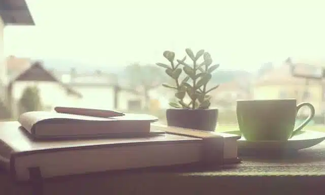 Ser autónomo sin morir en el intento (III) 84 libros