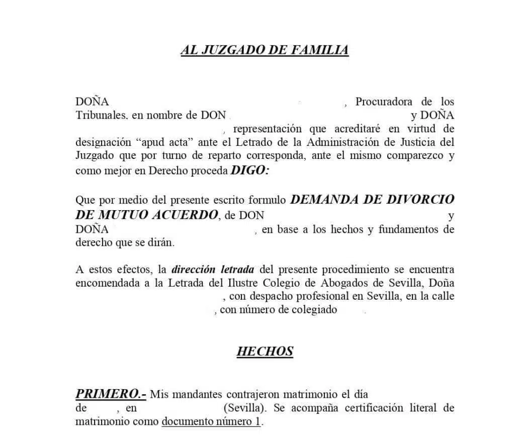 La traducción jurada de la demanda judicial 52 demanda judicial